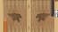 Backgammon Narde Online