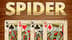 Spider Solitaire Classic's achievement