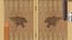 Backgammon Narde Online